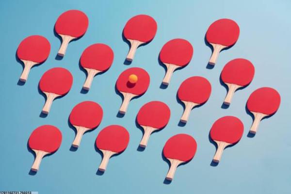 各类体育培训班的招生简章与报名信息(图1)